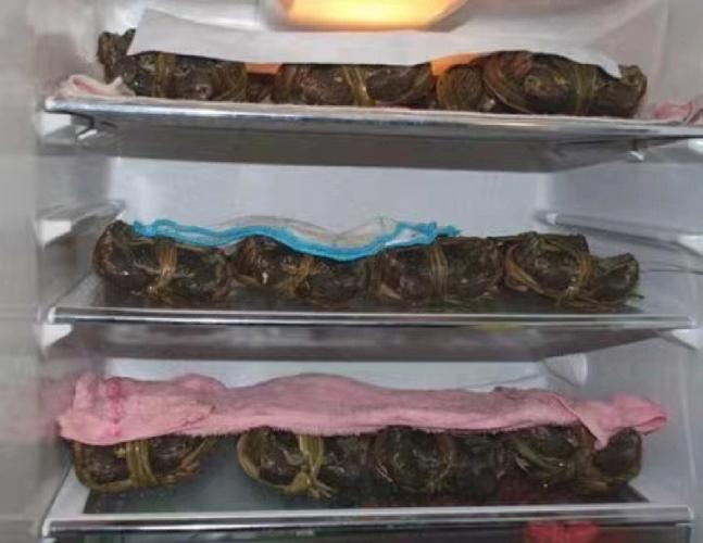 大闸蟹保存方法冰箱冷冻，大闸蟹保存方法冷藏可以放几天