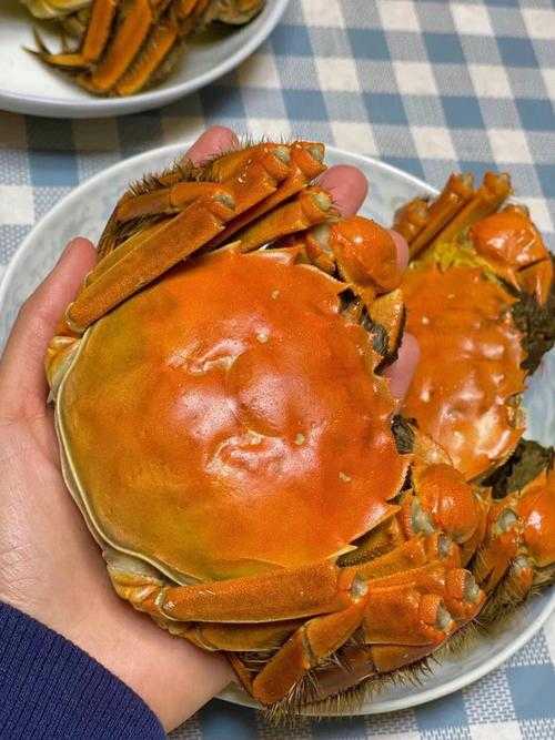 螃蟹吃什么，螃蟹吃什么食物 家养？