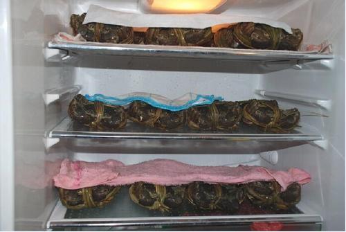 绑好的大闸蟹如何保存，绑好的大闸蟹放冰箱冷藏可以保存吗？