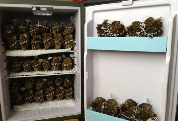新鲜大闸蟹怎么保存方法？大闸蟹怎么放冰箱保存？