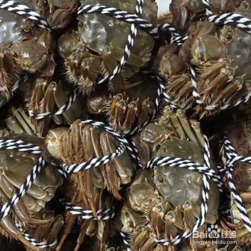 大闸蟹的保存方法怎么把它养活，大闸蟹的保存方法怎么把它养活呢！