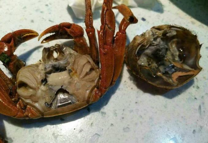螃蟹不沾水一般能活几天，活螃蟹放了一晚上死了还能吃吗